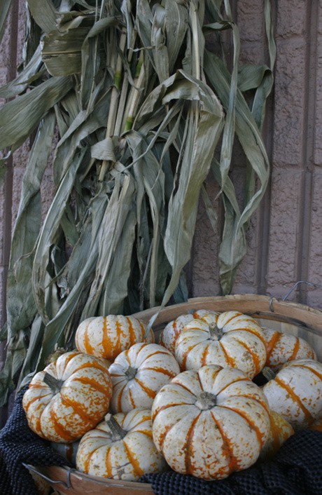 The pumpkins have arrived on the Island