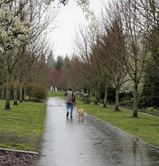 A man and his dog walk down the path along the I-90 trail on Thursday