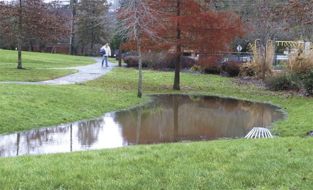 A pedestrian stops to view the standing water in Mercerdale Park that accumulated Sunday morning after two solid nights of rain overwhelmed storm drains and drainage systems.