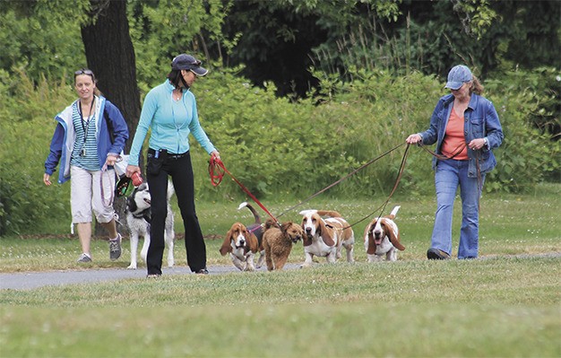 A group of women and their dogs walk in Luther Burbank Park on Wednesday