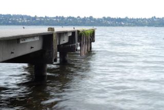 Chad Coleman/Mercer Island Reporter Fall temperatures arrived on Mercer Island and this view from Proctor Landing shows an empty Lake Washington last Wednesday. Fall officially began on Sunday.