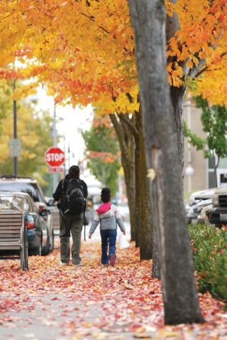 Chad Coleman/Mercer Island Reporter Pedestrians are surrounded by fall colors as they walk along 78th Avenue S.E. in the downtown business district of Mercer Island