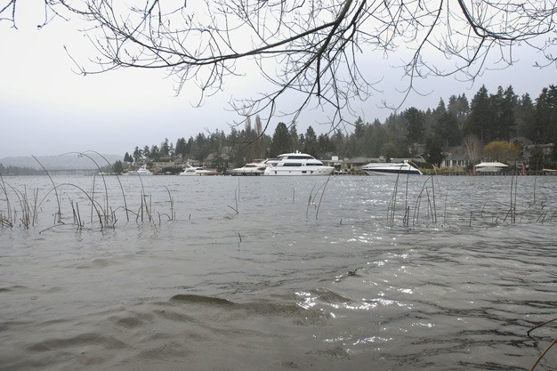 This southeast shoreline view near the swim beach at Luther Burbank Park shows boats moored along North Mercer Way.