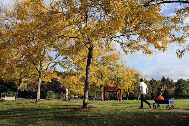 Autumn leaves light the sky as a man and his son head to the children’s playground at Mercerdale Park last week.