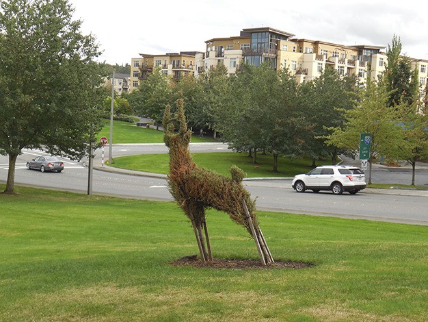 The topiary deer in the Park on the Lid