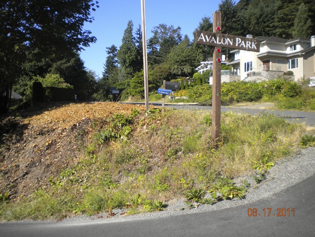 The City of Mercer Island removed trees next to the intersection of Avalon Drive and East Mercer Way to improve visibility.