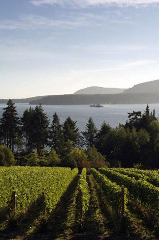 Wineries on Vancouver Island offer not only great wines