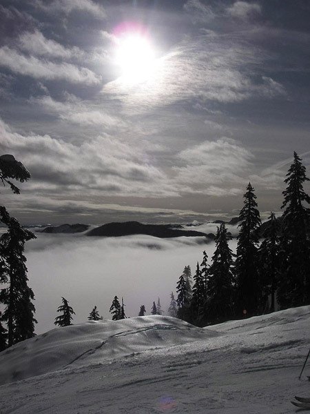 Snow glistens under the sun at Alpental during a ski trip.