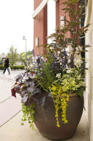 A flower pot outside the Mercer building is part of “Color MI Beautiful