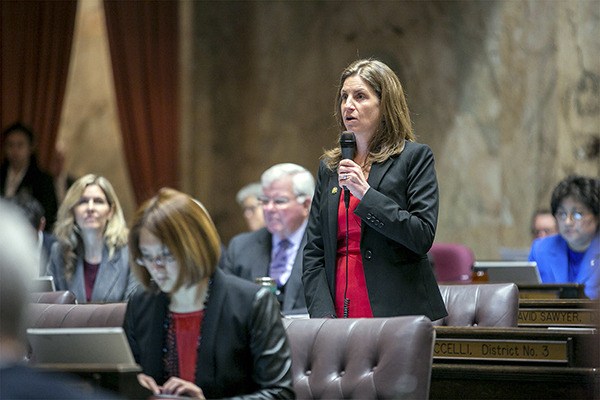 Rep. Tana Senn advocates for pay equality as the Washington State House of Representatives convenes for floor debate on Feb. 3