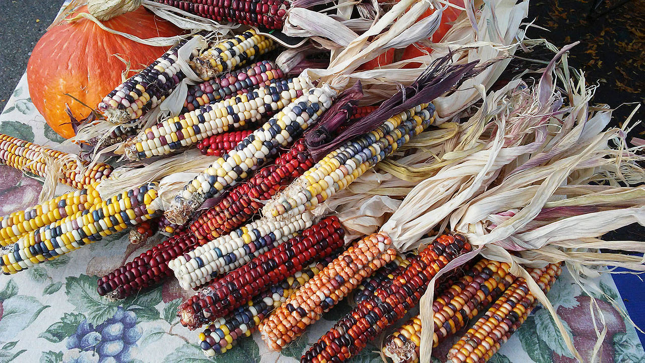 The Mercer Island Harvest Market will be from 10 a.m. to 3 p.m. on Nov. 19. Photos courtesy of Lora Liegel