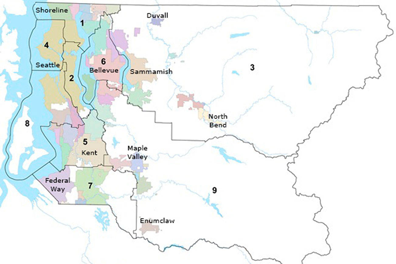 King County charter update targets police oversight, elections, council size