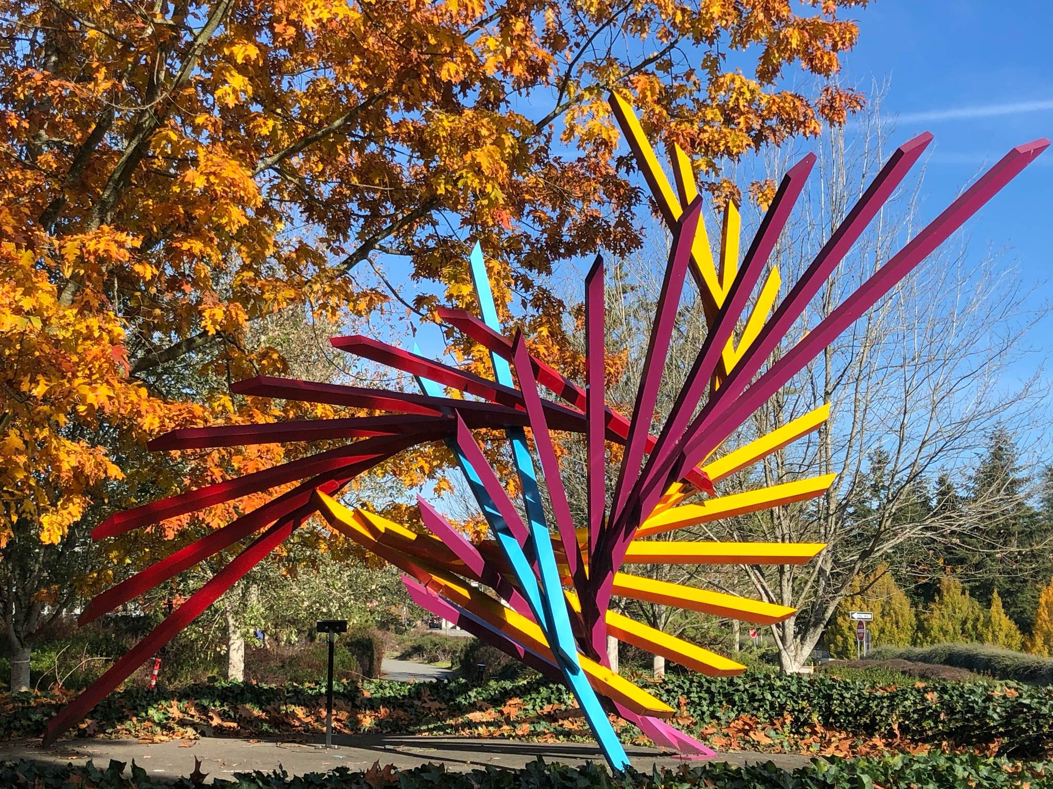 Autumn colors pop alongside a sculpture on a recent Mercer Island afternoon. Photo courtesy of Greg Asimakoupoulos