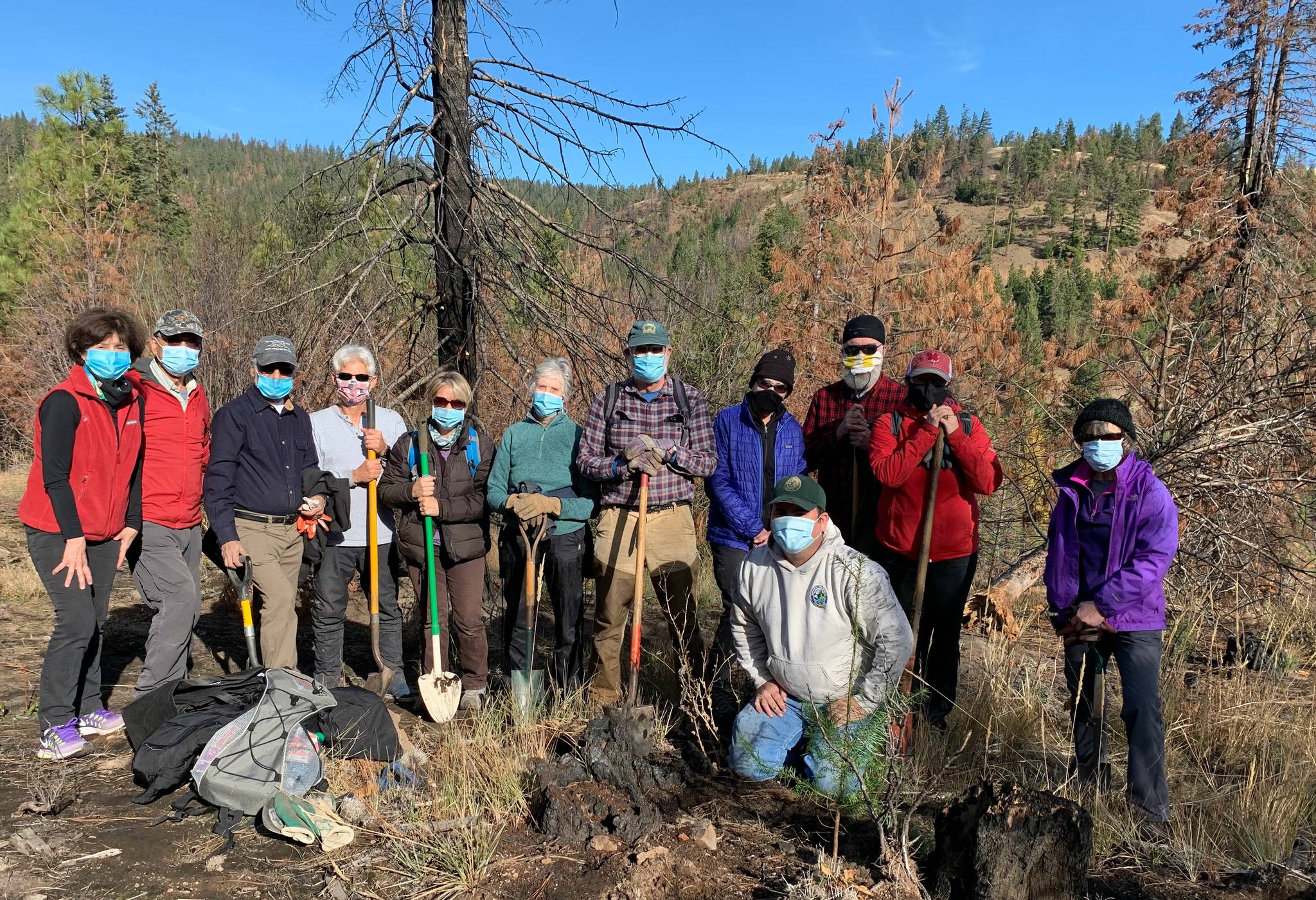 On Oct. 31, members of the Rotary Club of Mercer Island traveled to Okanogan-Wenatchee National Forest to help restore a partially burned area of the forest, motivated by the opportunity to protect the climate and the global life-support system. Within a few hours, 12 Rotarians and their friends planted 500 Douglas Fir seedlings where fires had done damage. The club purchased the seedlings in the spring of 2019. The seedlings wintered in the yard of Sam Sullivan, a Mercer Island resident and past president of the club, as well in Yogi and Eva Agrawal’s yard on Mercer Island. In 2019, Rotary members planted 500 seedlings along Goat Creek in Mount Baker-Snoqualmie National Forest. This is a continuation of that project. Rotary will hold a virtual presentation at 12:45 p.m. Nov. 24 featuring speaker Isaias Braga, captain of the Salvation Army Renton Corps. The meeting link is: https://us02web.zoom.us/j/4096976967. Photo courtesy of Terry Lee