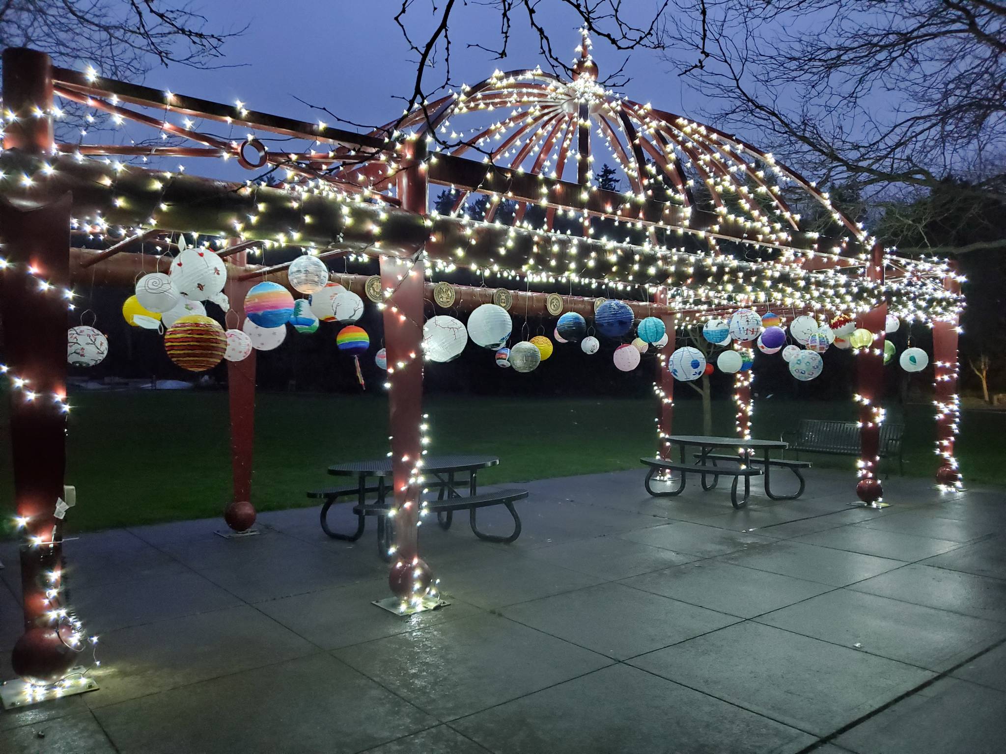 The city lit up its Island Lanterns community art project starting on Feb. 12. Girl Scout Cadet Troop 44295/45358 linked up with the city, Mercer Island Visual Arts League, Mercer Island Chinese Association, Mercer Island Arts Council and the Mercer Island High School Art Club to the bring the project to life through a 4Culture grant. Photo courtesy of Carol Whitaker