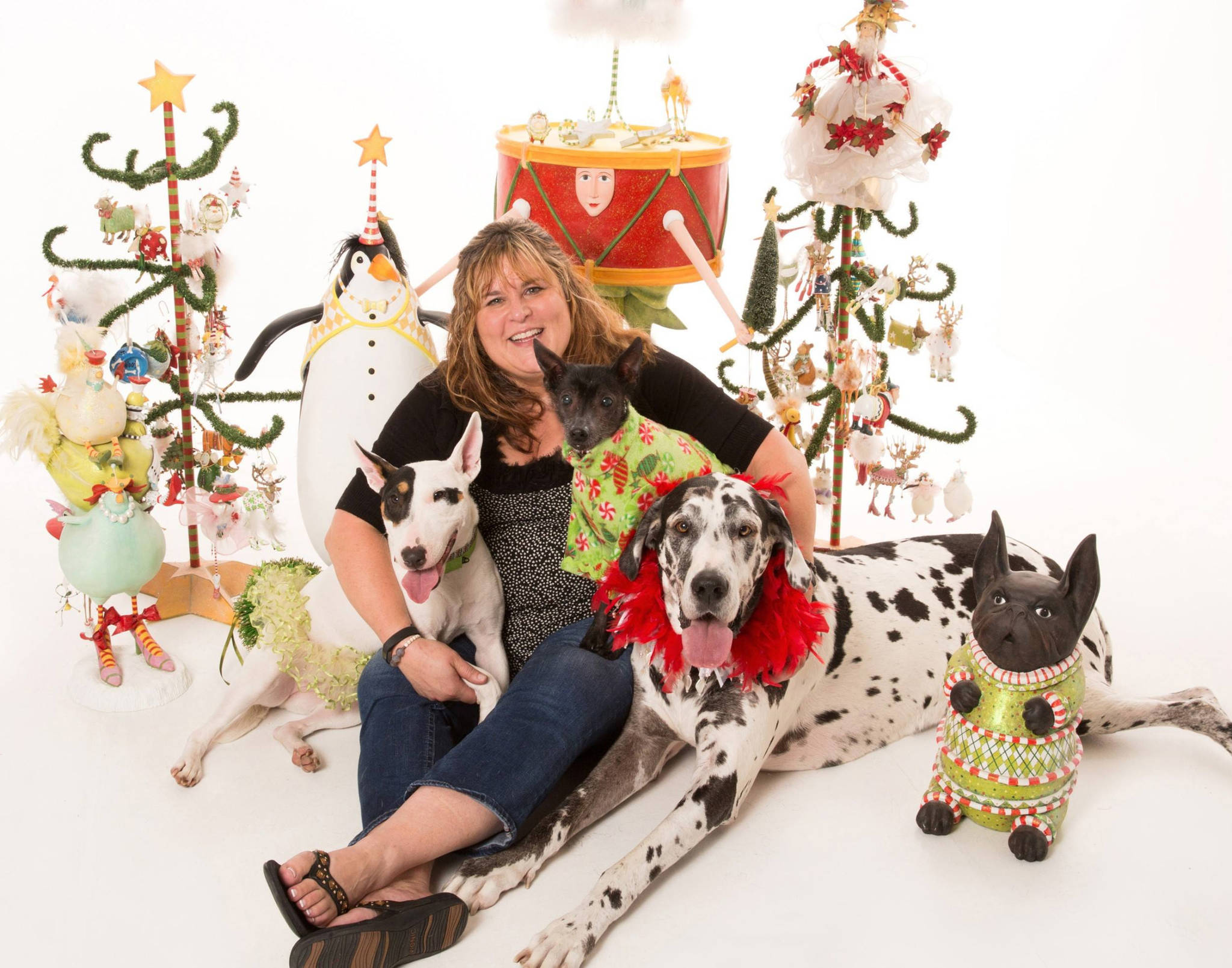 Kelly Starbuck with her “girls,” from left, Ricki Rock Star (bull terrier), Lani (Mexican hairless) and Zippy (Great Dane). Photo courtesy of Alyssa Rose