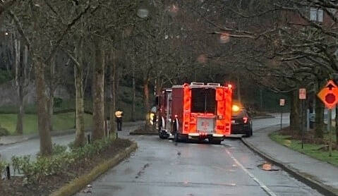 The scene of a stolen-vehicle crash on March 8 near the 3400 block of 78th Avenue Southeast. Photo courtesy of the Mercer Island Police Department