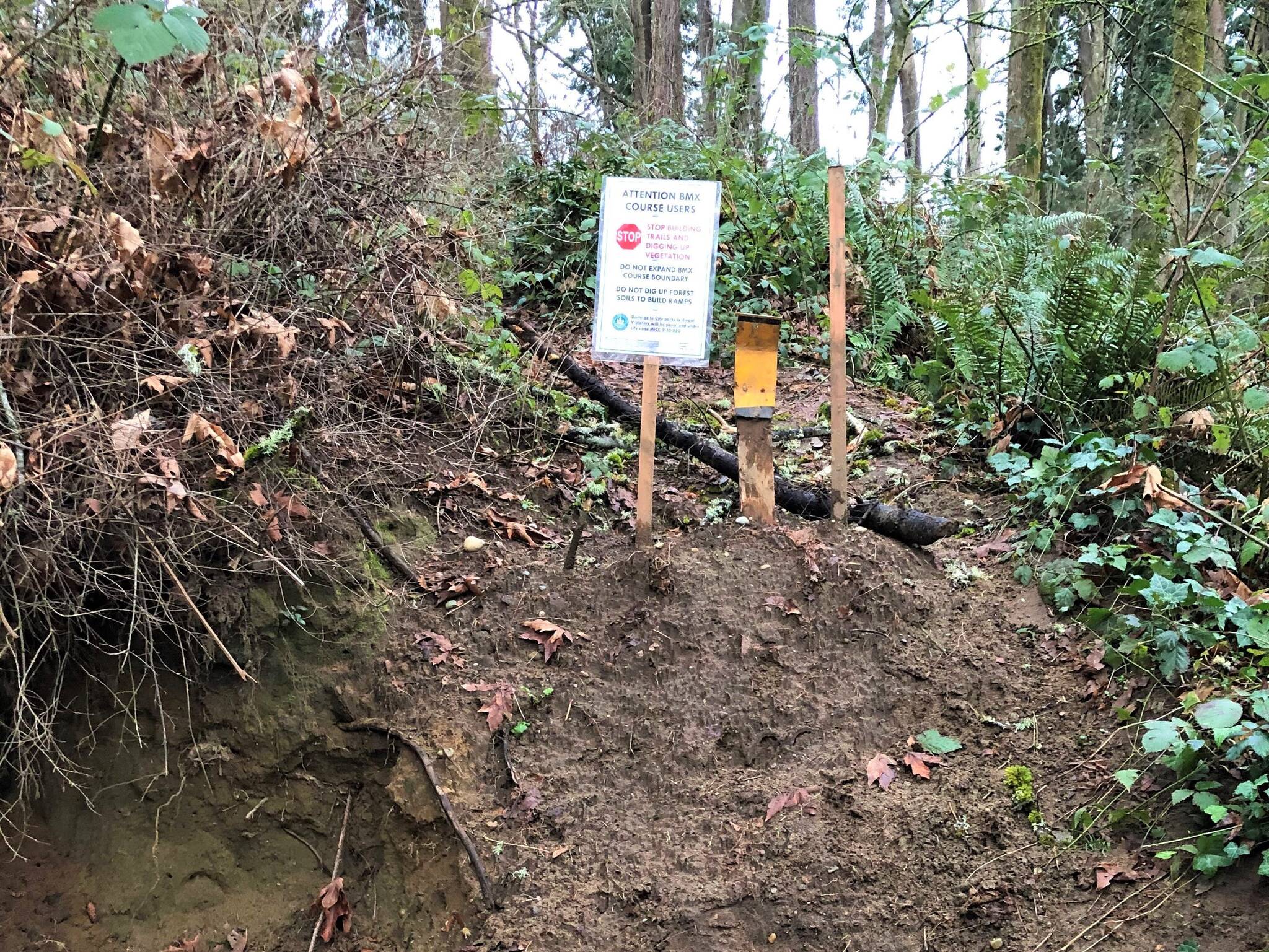 The city temporarily closed the Upper Luther Burbank Park Bike Skills Area (BSA) on Oct. 7, 2021. Photo courtesy of the city of Mercer Island