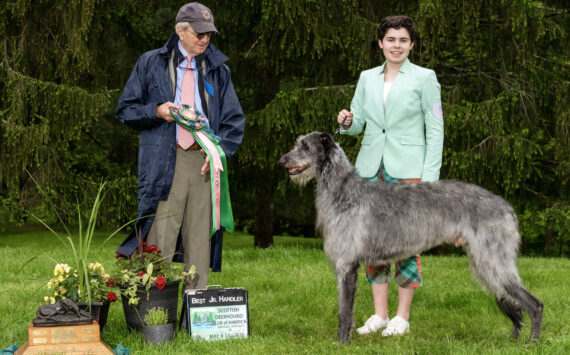 Elena Lill and her dog Mac won best junior handler at 2023 Scottish Deerhound National Specialty. (Photo by Turley Photography)