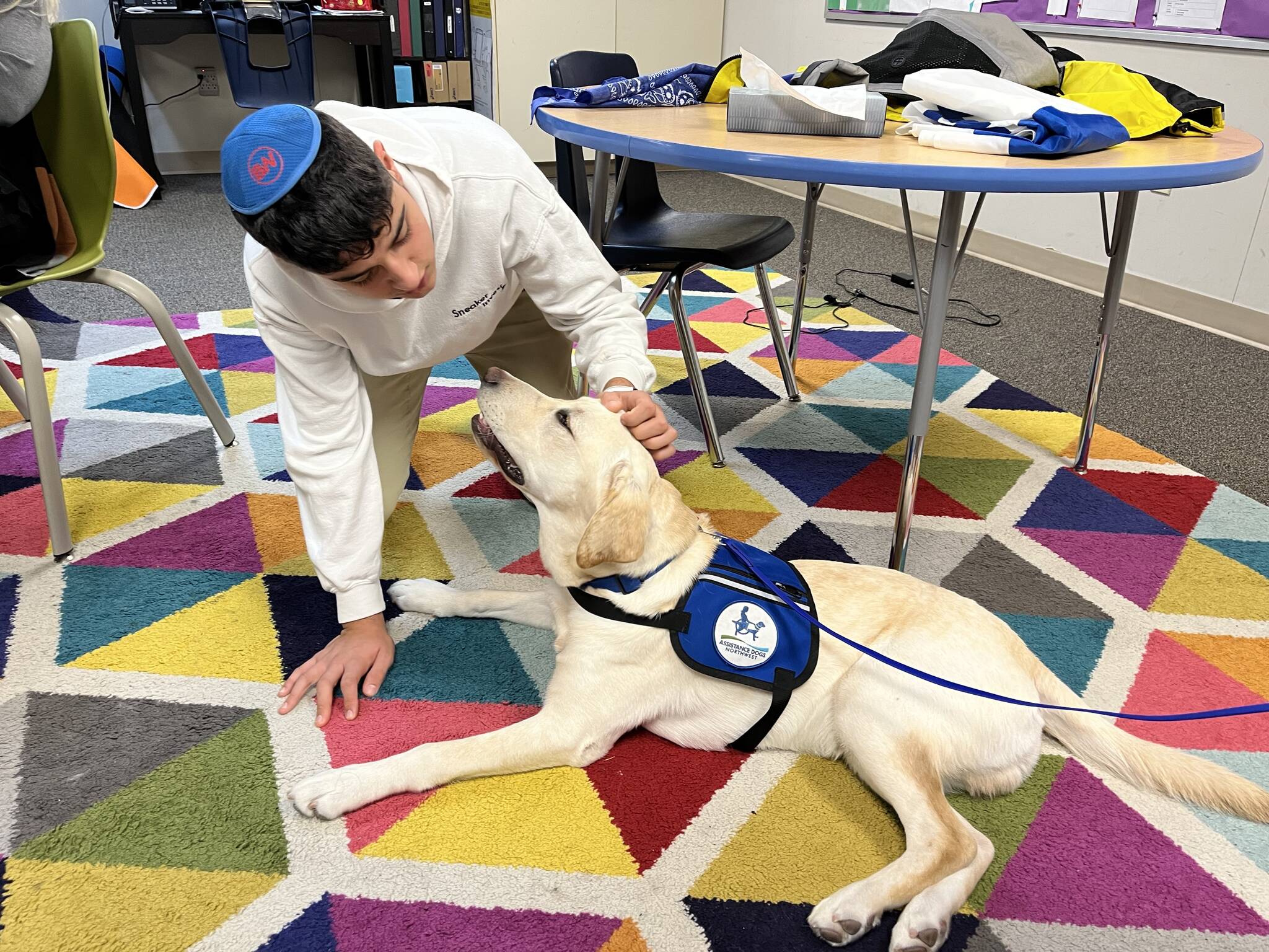 Northwest Yeshiva High School student Jonathan Davydov interacts with a therapy dog from Assistance Dogs Northwest on Oct. 10. Photo courtesy of Beth Jacoby