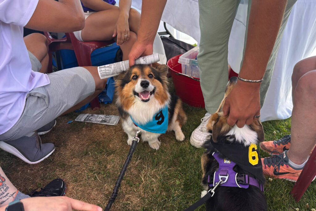 race to join the fight against Alzheimer’s Disease Mercer