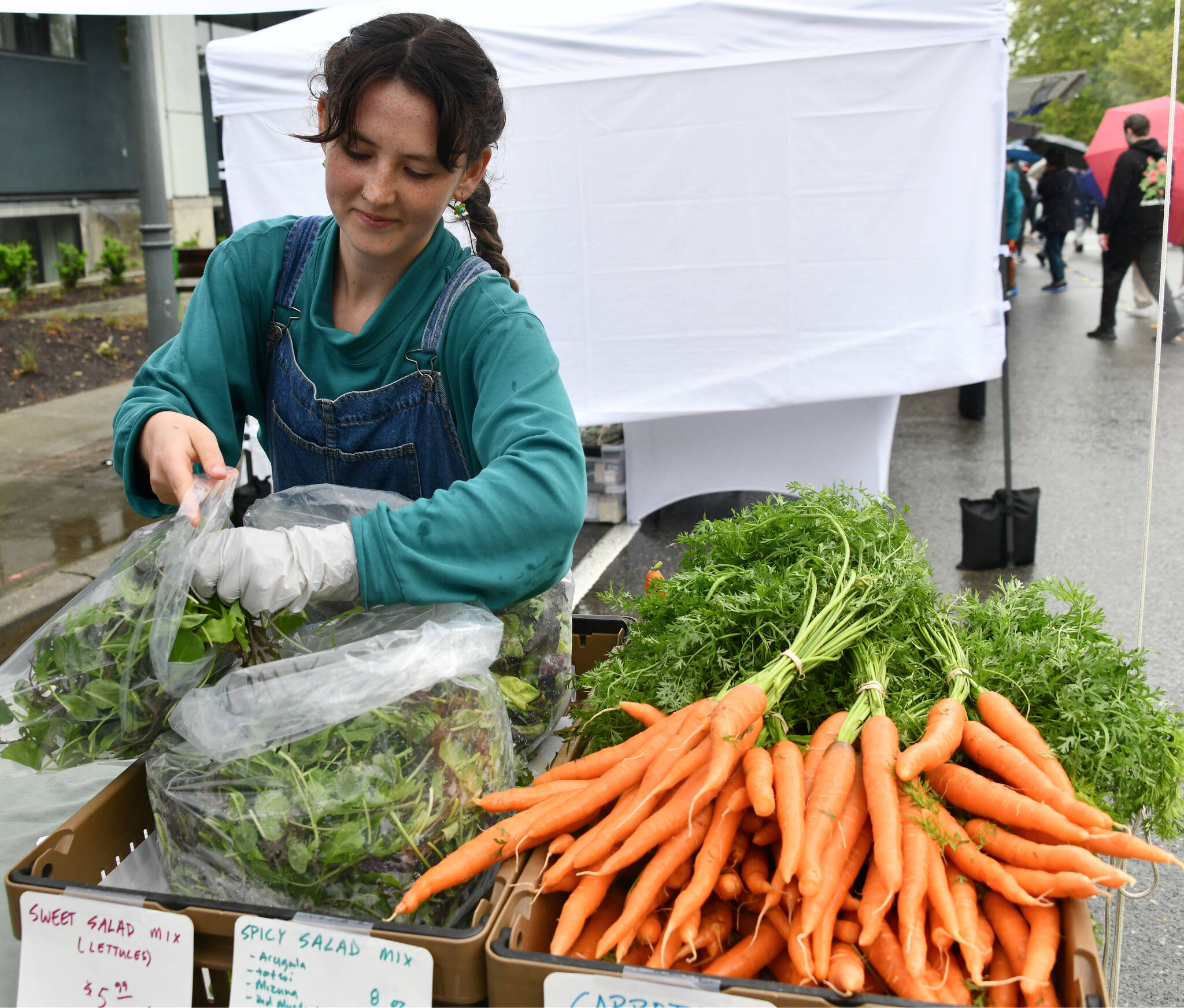 Kyle Moss works at the Wright Brothers Farm booth during opening day of the Mercer Island Farmers Market’s 17th season on June 2 along Southeast 32nd Street and 77th Avenue Southeast near Mercerdale Park. This year’s market will run from 10 a.m. to 2 p.m. on Sundays through Sept. 29. A Harvest Market is also on the docket from 10 a.m. to 2 p.m. on Nov. 24. Andy Nystrom/ staff photo