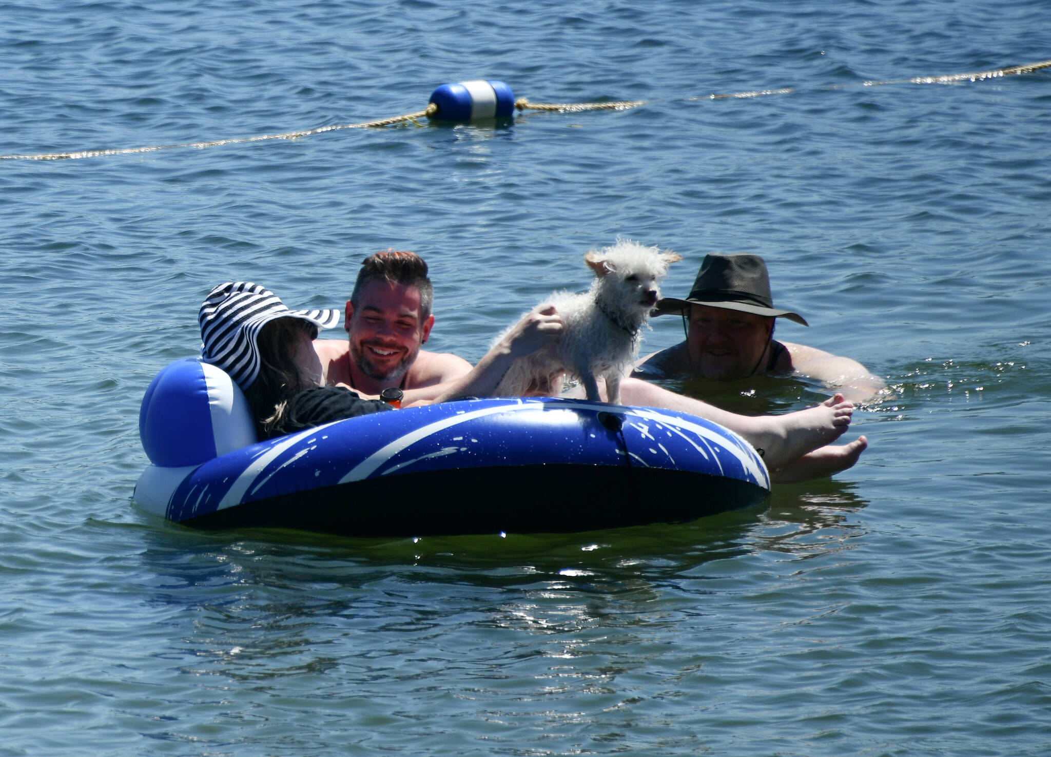 Swimmers beat the extreme heat with their pooch Benji on July 8 at Luther Burbank Park beach on Lake Washington. Andy Nystrom/ staff photo