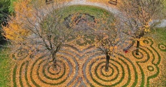 Artistic leaf patterns made by land artist Nikola Faller. Courtesy of mossandfog.com