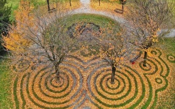 Artistic leaf patterns made by land artist Nikola Faller. Courtesy of mossandfog.com