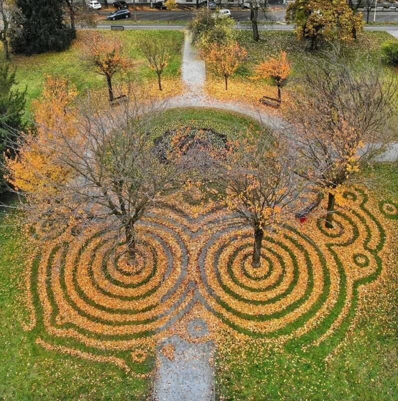 Artistic leaf patterns made by land artist Nikola Faller. Courtesy of mossandfog.com