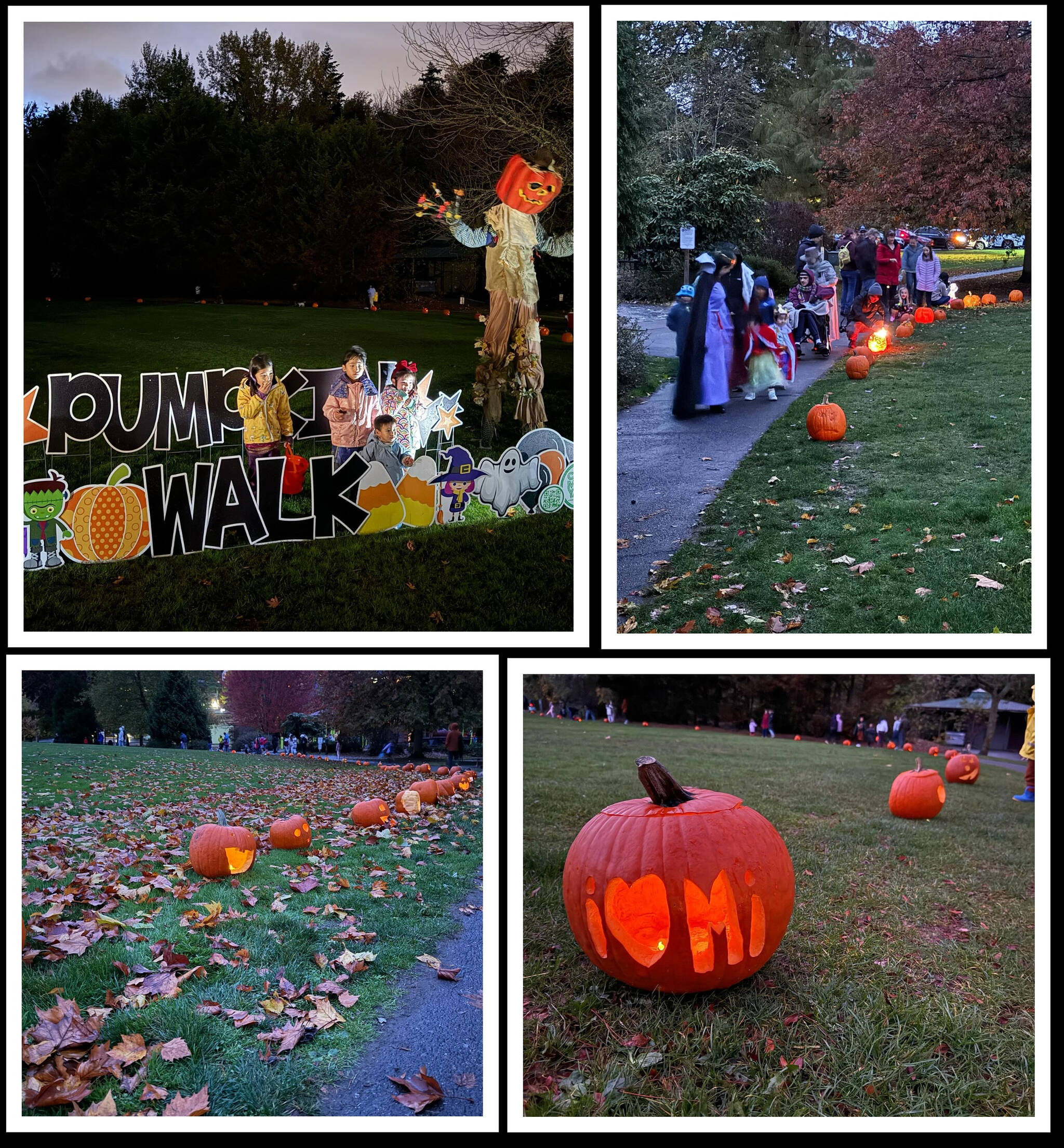 The city of Mercer Island’s Pumpkin Walk was a glowing success on Oct. 27 at Mercerdale Park. The family-friendly event occurred along the Mercerdale loop, with a path lined with a display of carved pumpkins from Island participants. Photos courtesy of the city of Mercer Island