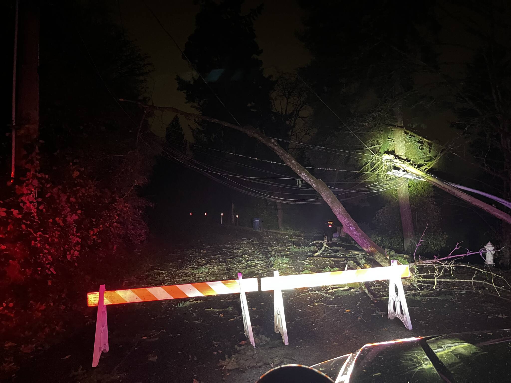 A fallen Mercer Island tree from the evening of Nov. 19. Photo courtesy of the city of Mercer Island