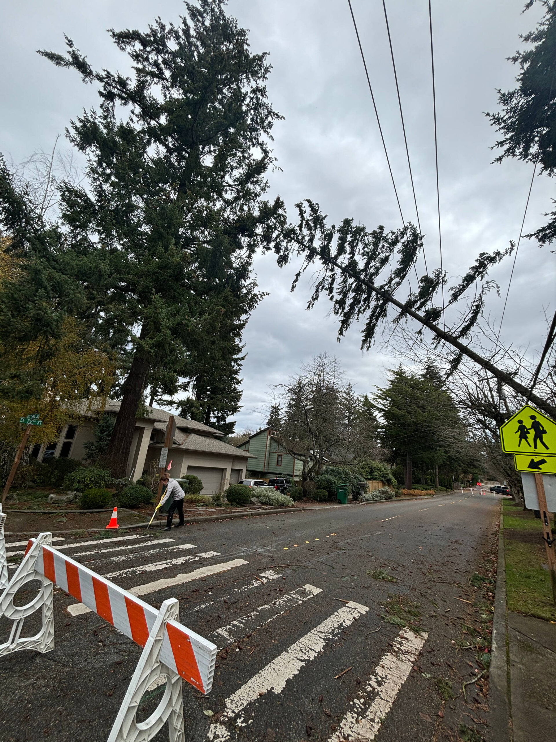 Mercer Island resident Rita McGaughy rakes branches in front of her home in the 8000 block of SE 72nd St. as a tree leans across the shuttered road on Nov. 20. Andy Nystrom/ staff photo