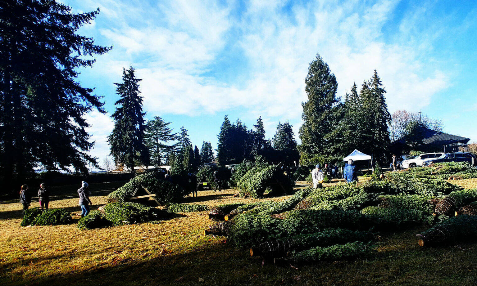 The Mercer Island Tree Lot fundraiser will take place on weekends only from Nov. 30-Dec. 15 at the Mercer Island Presbyterian Church, 3605 84th Ave. SE. Hours are from 10 a.m. to 5 p.m. Saturdays and from noon to 5 p.m. Sundays. All profits will be shared between the Mercer Island Youth & Family Services Foundation and Mercer Island High School’s Mercer Trade Inc., a student-run company. Choose from a variety of locally grown Christmas trees such as Noble, Fraser, Douglas or Nordmann. This year’s lot also includes mixed green wreaths and garland. Reporter file photo